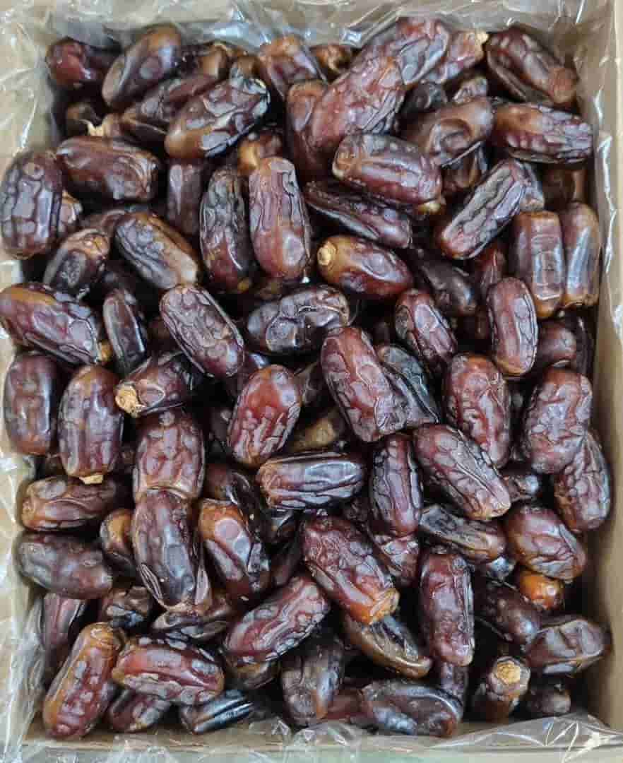 تصویر 2 از قیمت خرید خرما استعمران + فروش عمده