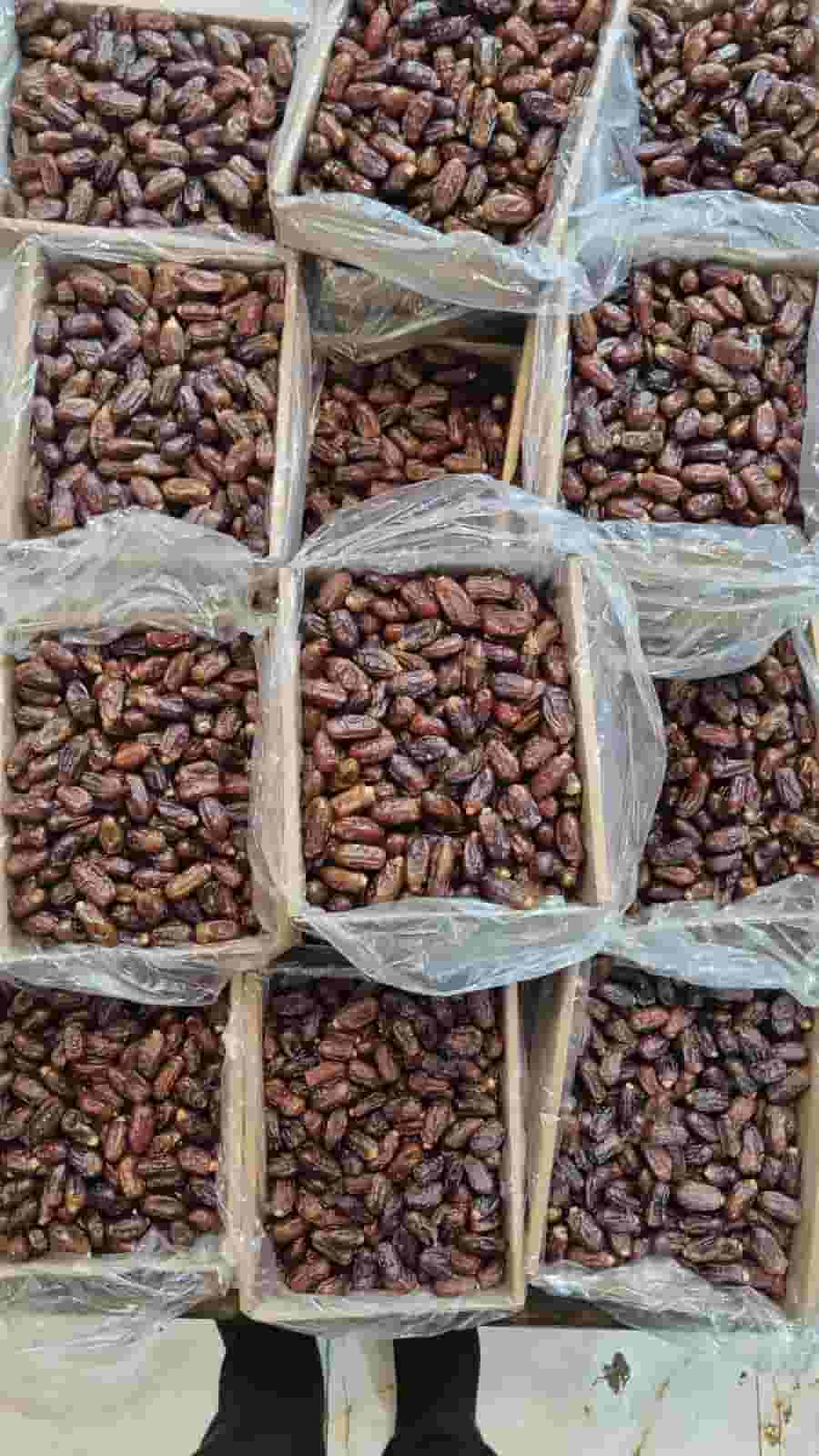 تصویر 3 از قیمت خرید خرما استعمران + فروش عمده