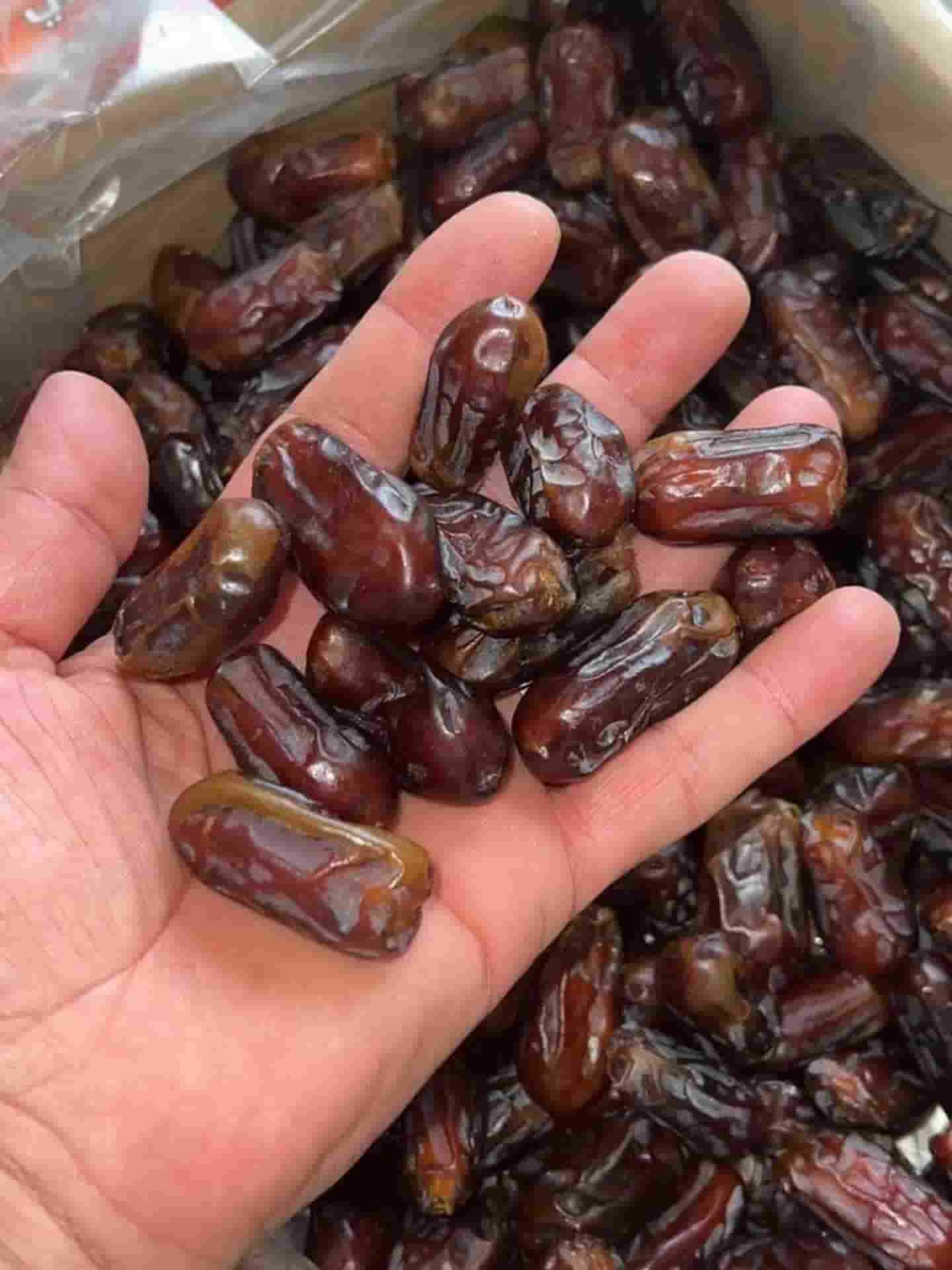 تصویر 1 از قیمت خرید خرما استعمران + فروش عمده