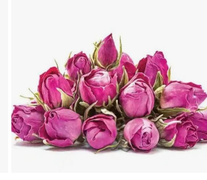 قیمت استثنایی و  باور نکردنی غنچه گل محمدی استان فارس