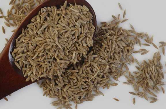 تصویر 2 از زیره کوهی تازه‌ چین خوش‌ عطر