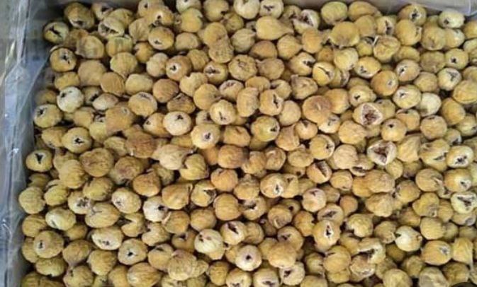 تصویر 5 از فروش ویژه انجیر سایز 3A تازه + خرید آسان بدون واسطه