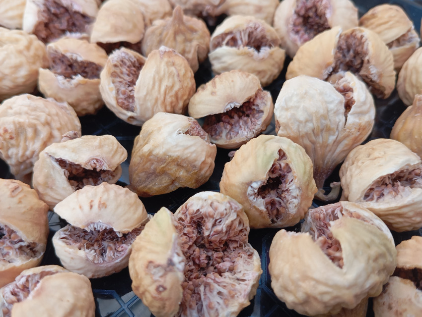 تصویر 2 از فروش ویژه انجیر سایز 3A تازه + خرید آسان بدون واسطه