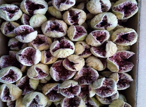 تصویر 2 از فروش عمده انجیر پرک اعلا استهبان + قیمت رقابتی تولید کننده