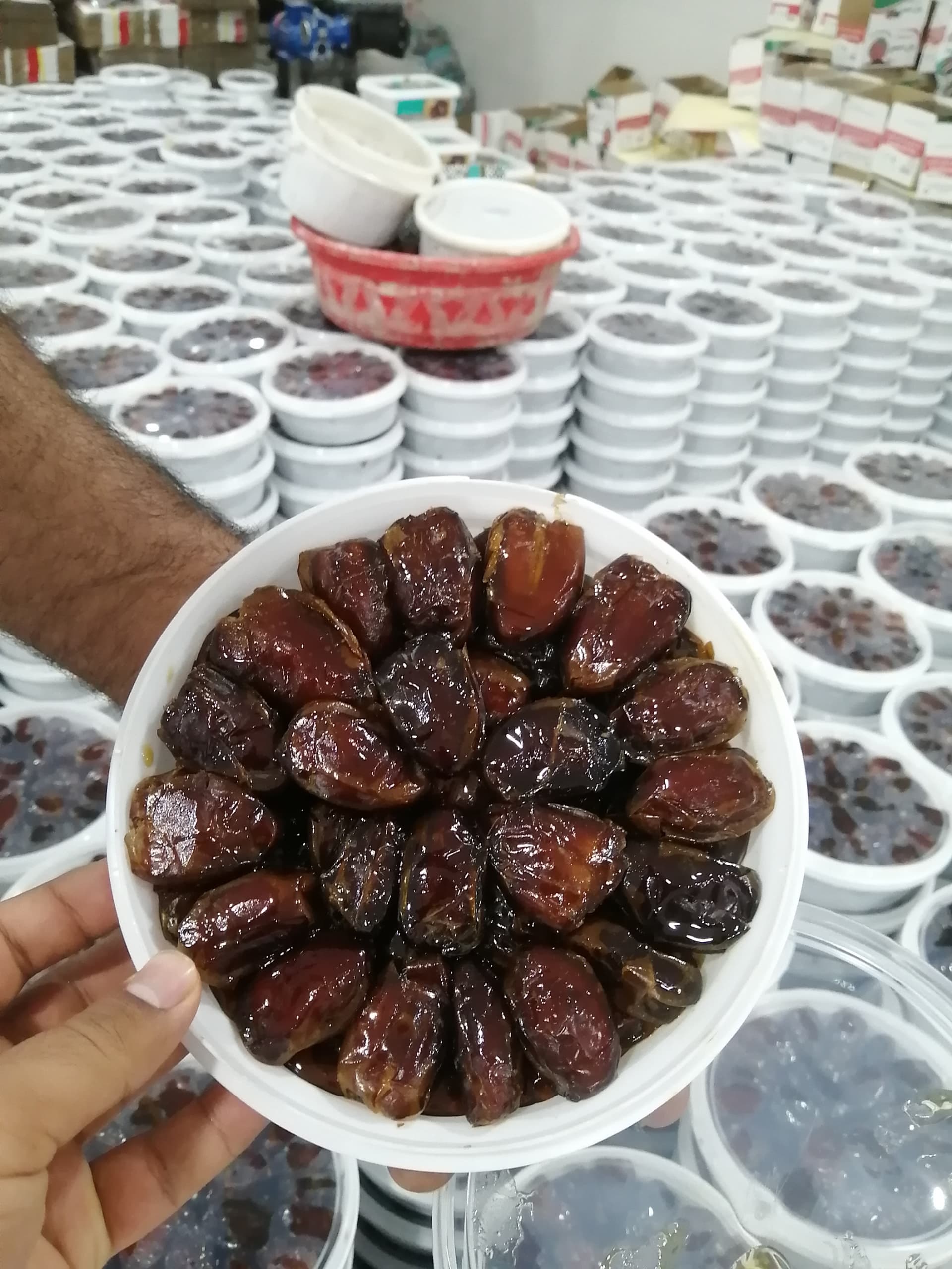 خرما کبکاب افق زاگرس با طعمی بی نظیر و عالی