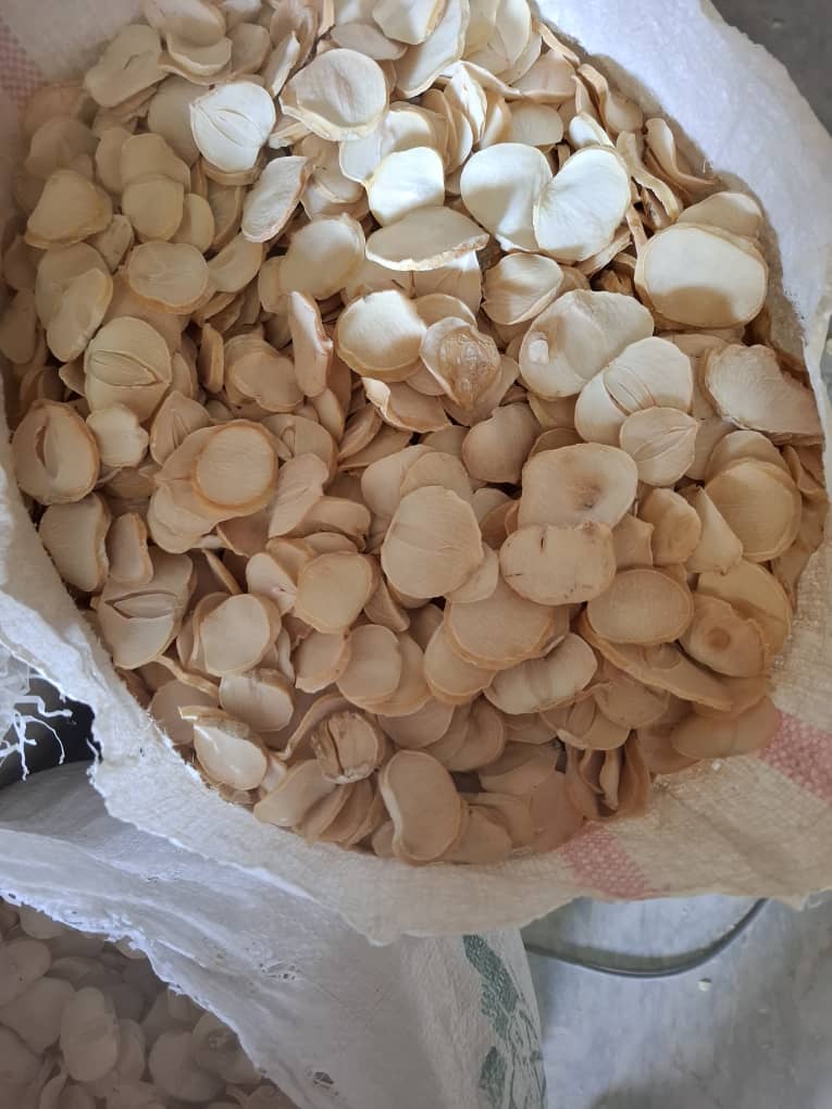 پر موسیر خشک