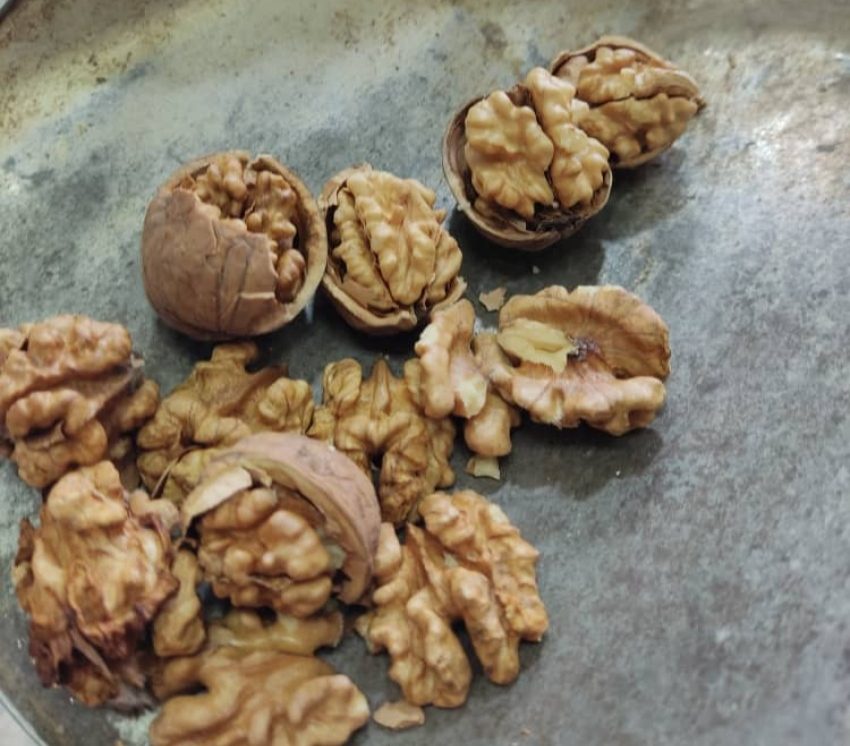 قیمت و خرید گردو با پوست کاغذی ممتاز آذربایجان مستقیم از باغدار + عمده با تخفیف استثنایی