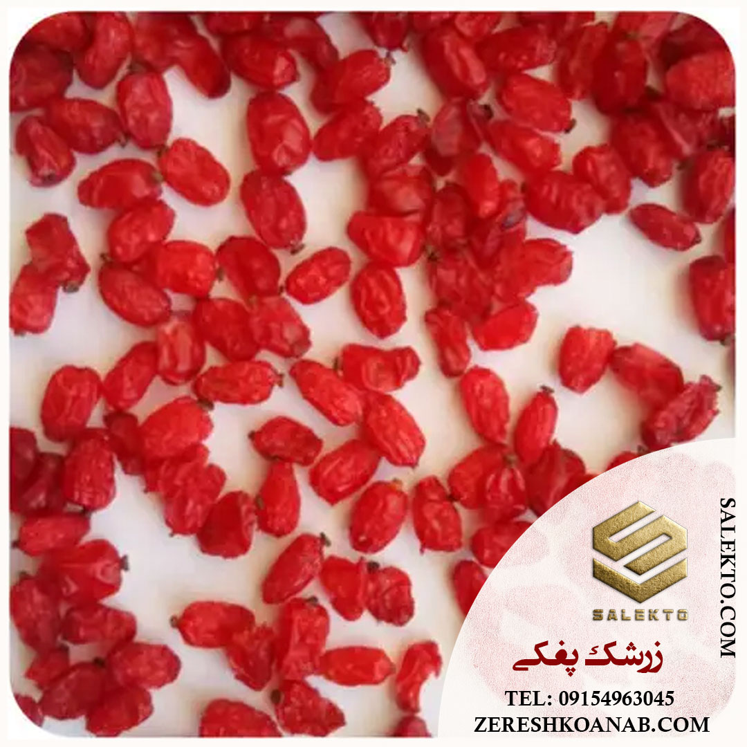 تصویر 5 از خرید مستقیم زرشک پفکی از کشاورز + خرید به‌ صرفه
