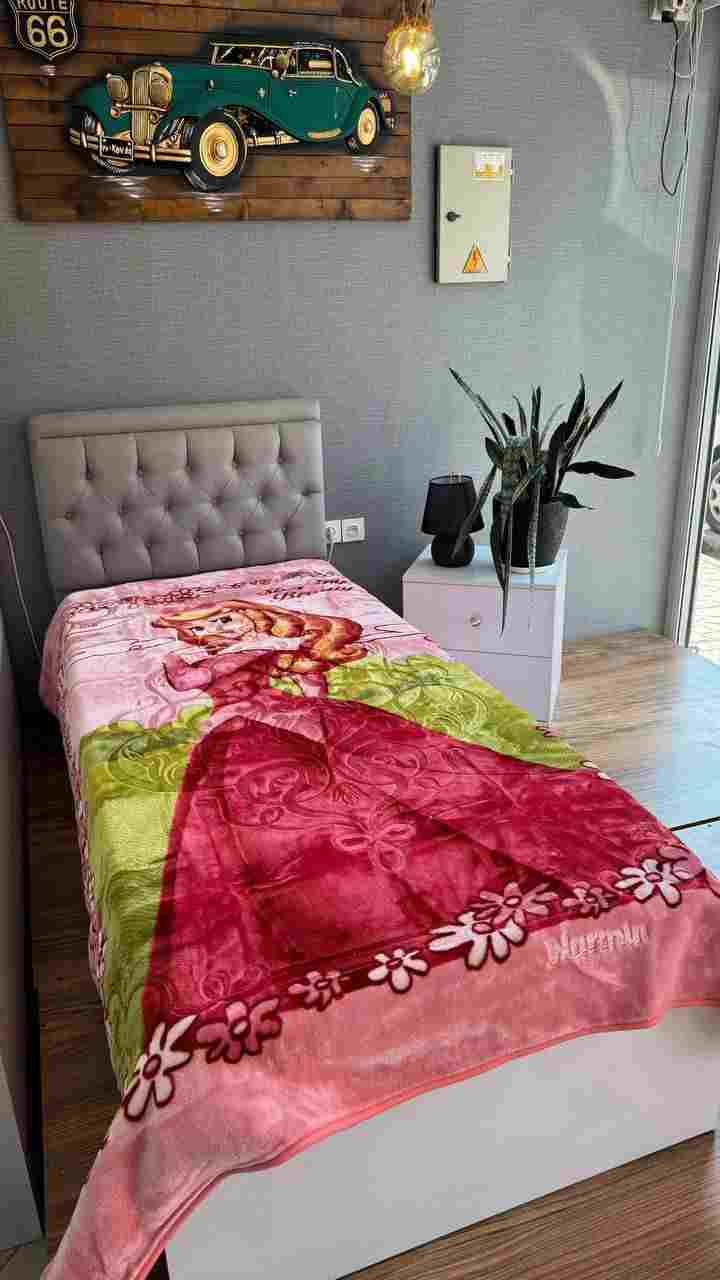 تصویر 3 از فروش پتو نوجوان نرمین + قیمت عمده