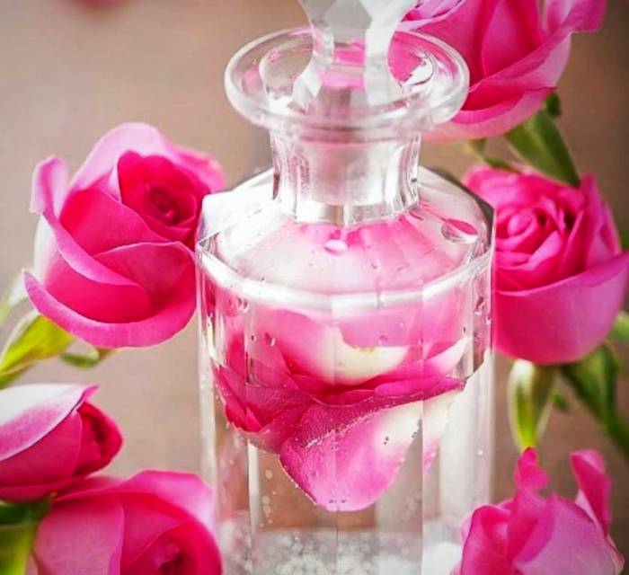 تصویر 2 از فروش عمده گلاب ممتاز خالص گل محمدی