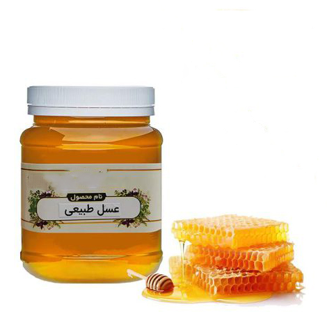 تصویر 1 از فروش عمده عسل ارگانیک (500 گرمی)