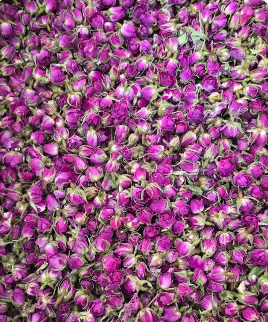 تصویر 2 از فروش عمده غنچه گل محمدی خشک فله