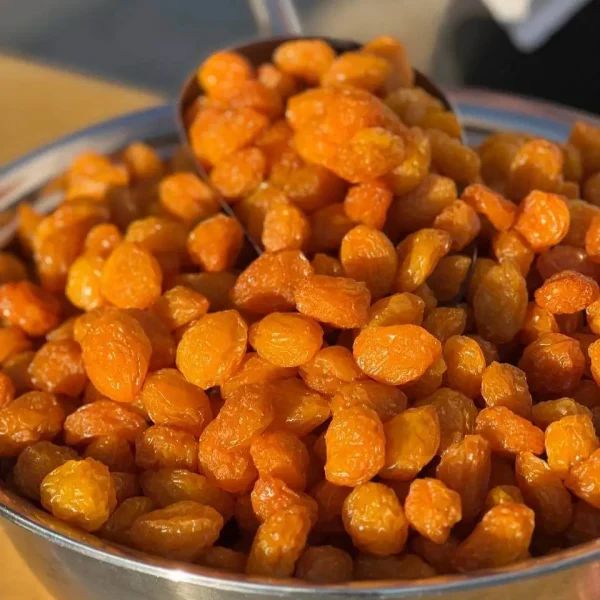 فروش عمده آلو زرد ممتاز مراغه
