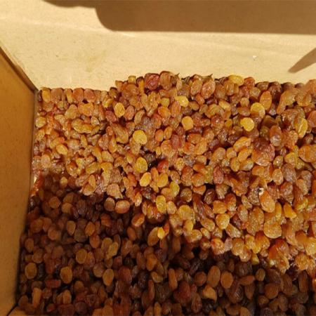 تصویر 3 از قیمت روز کشمش انگوری ملکان + فروش صادراتی