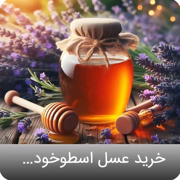 تصویر 3 از فروش عسل اسطوخودوس با شرایط استثنایی