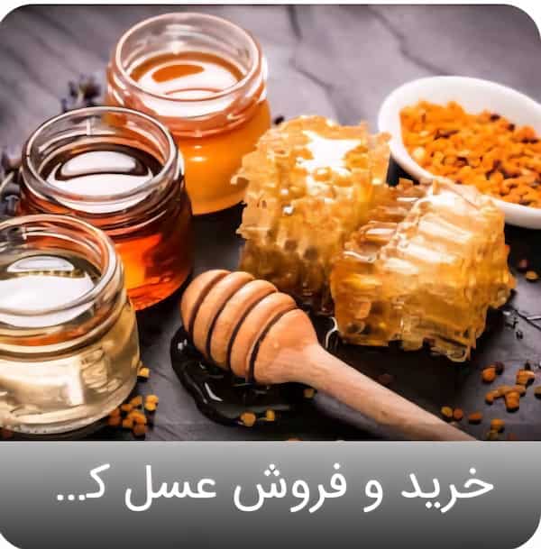 تصویر 4 از خرید عسل کنار با بهترین کیفیت بازار