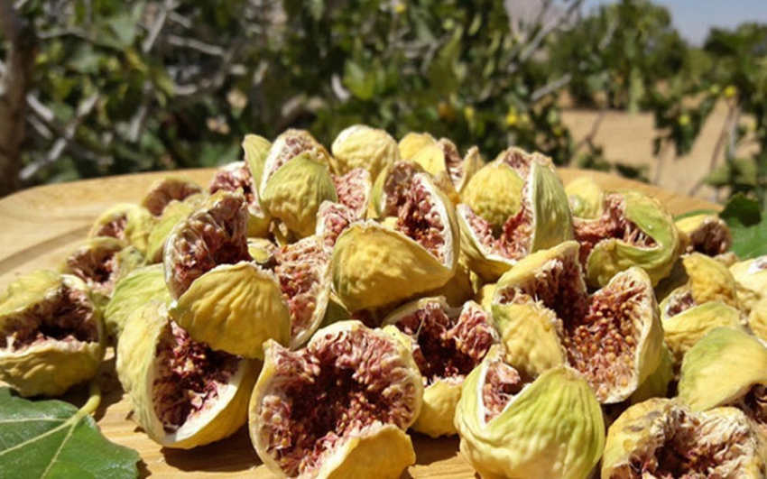 تصویر 3 از خرید انجیر خشک استهبان + با تضمین کیفیت و قیمت
