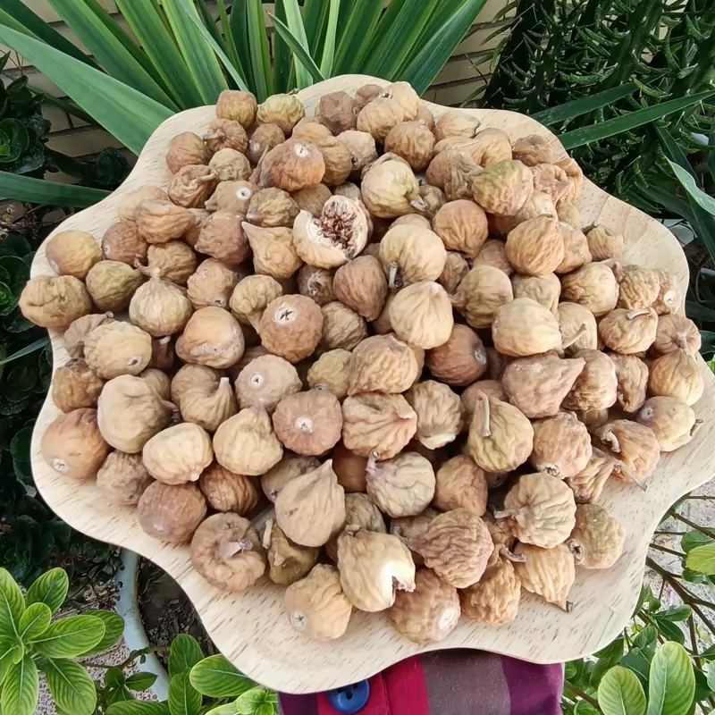 انجیر خشک ممتاز گوشتی منعطف اعلا