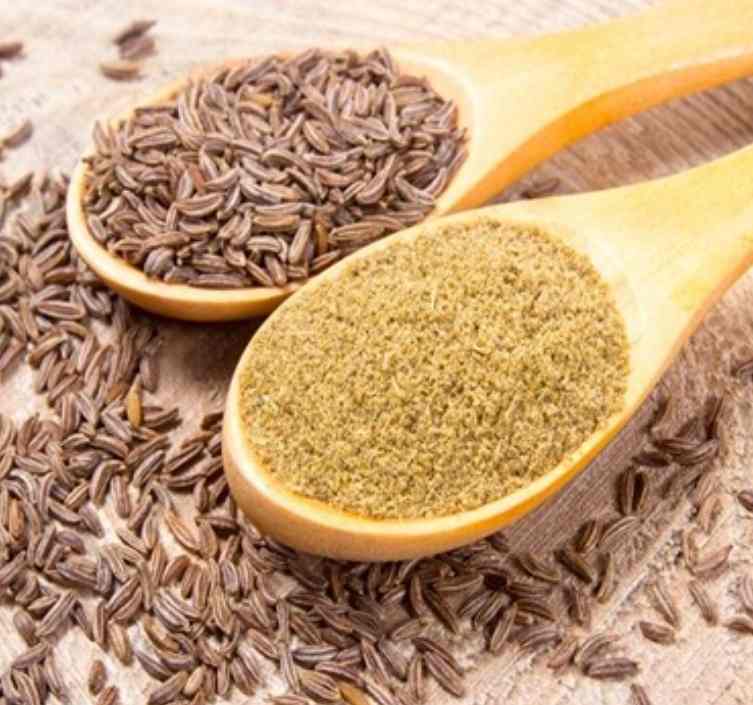 خرید ارزان زیره سبز صادراتی با شرایط فوق العاده