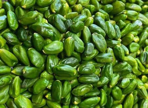 تصویر 1 از خرید مغز پسته اعلا دو پوست + بهترین قیمت
