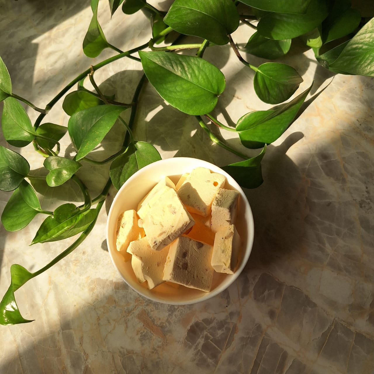 تصویر 3 از قیمت روز بستنی خشک + فروشگاهی