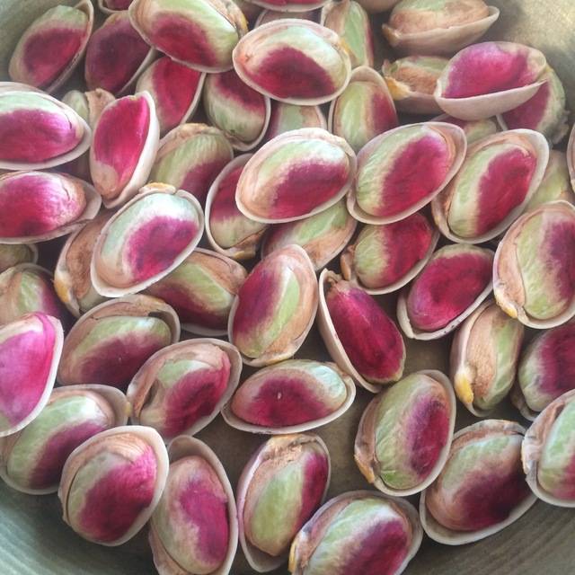 تصویر 2 از فروش مغز پسته اکبری + قیمت خرید به صرفه