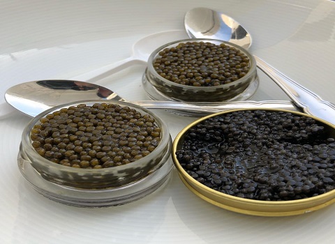 تصویر 1 از خاویار دریای جنوب + قیمت استثنایی