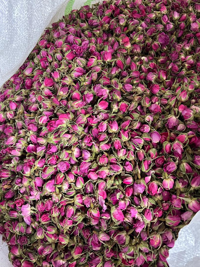 قیمت مناسب و فروش عمده غنچه گل محمدی