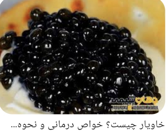 خاویار بلوگا صادراتی با استاندارد های بین المللی بسته بندی
