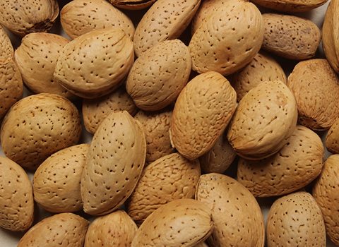 تصویر 4 از بادام سنگی ممتاز و فروش صادراتی