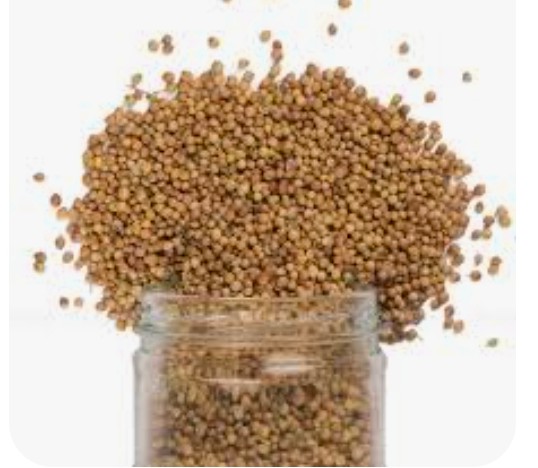 تصویر 2 از فروش بذر گشنیز آناهیتا نماد کیفیت و طعم ماندگار