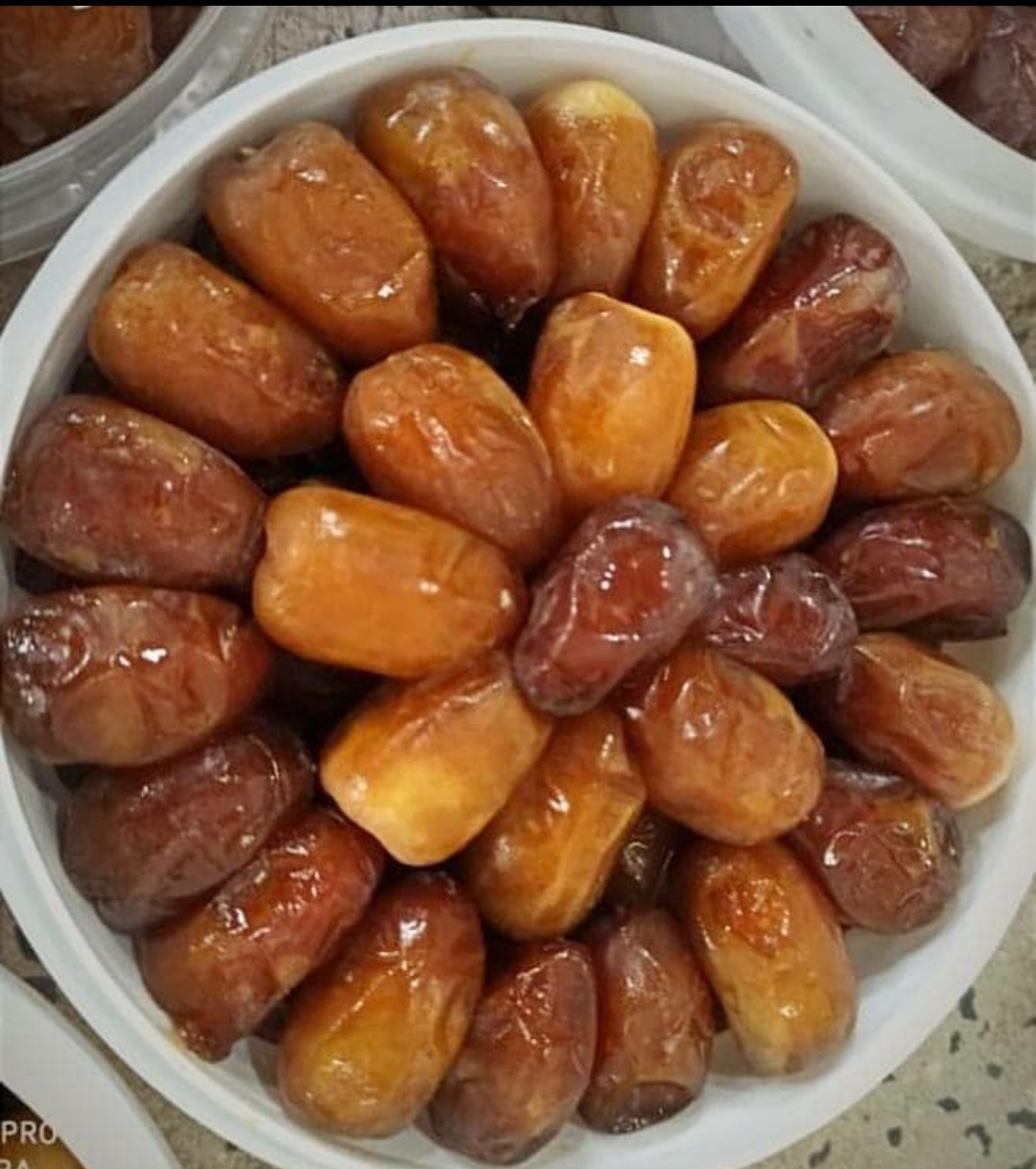 خرید خرما رطب کبکاب عسلی بوشهر + قیمت فوق العاده ارزان