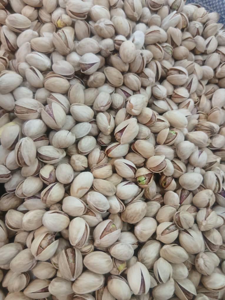 تصویر 3 از پسته اکبری درجه یک
