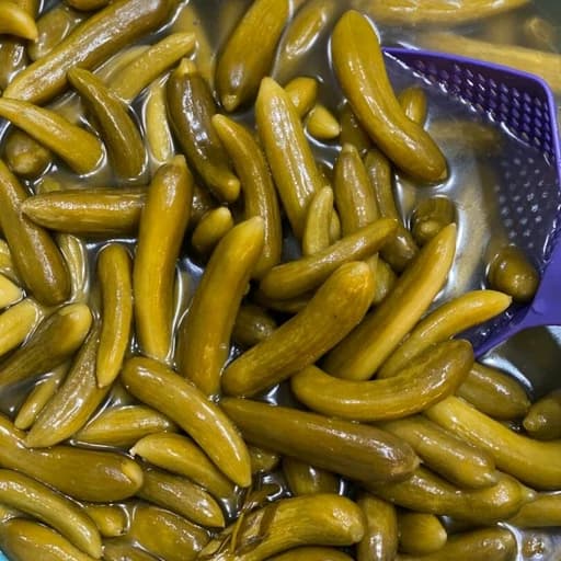 خیارشور امسالی مستقیم از کشاورز
