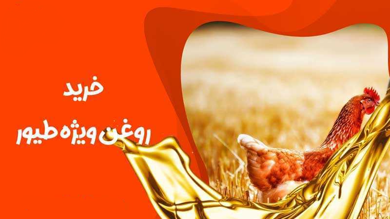 تصویر 2 از خرید روغن مرغی تصفیه شده درجه ۱ + عمده و قیمت بی نظیر