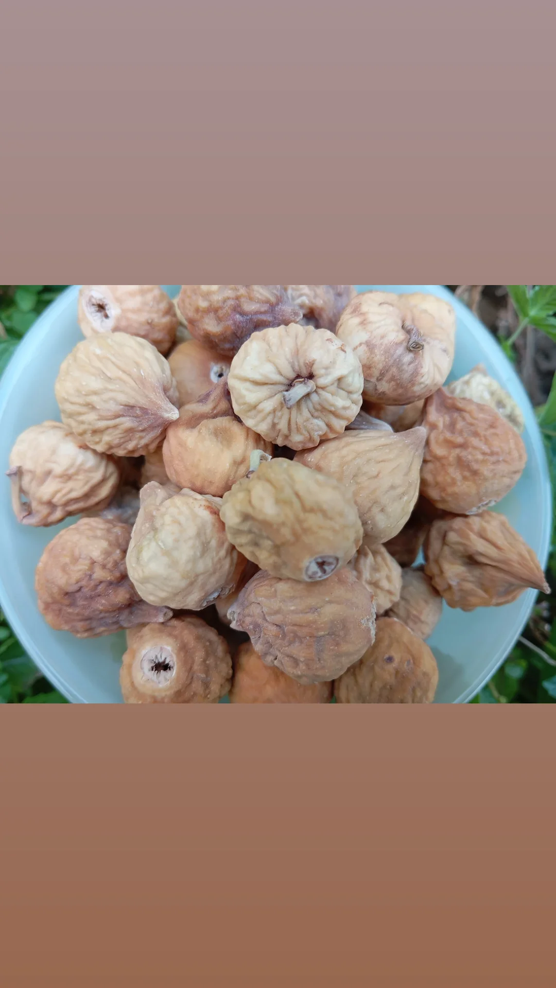 تصویر 1 از خرید انجیر خشک صادراتی استهبان + قیمت رقابتی