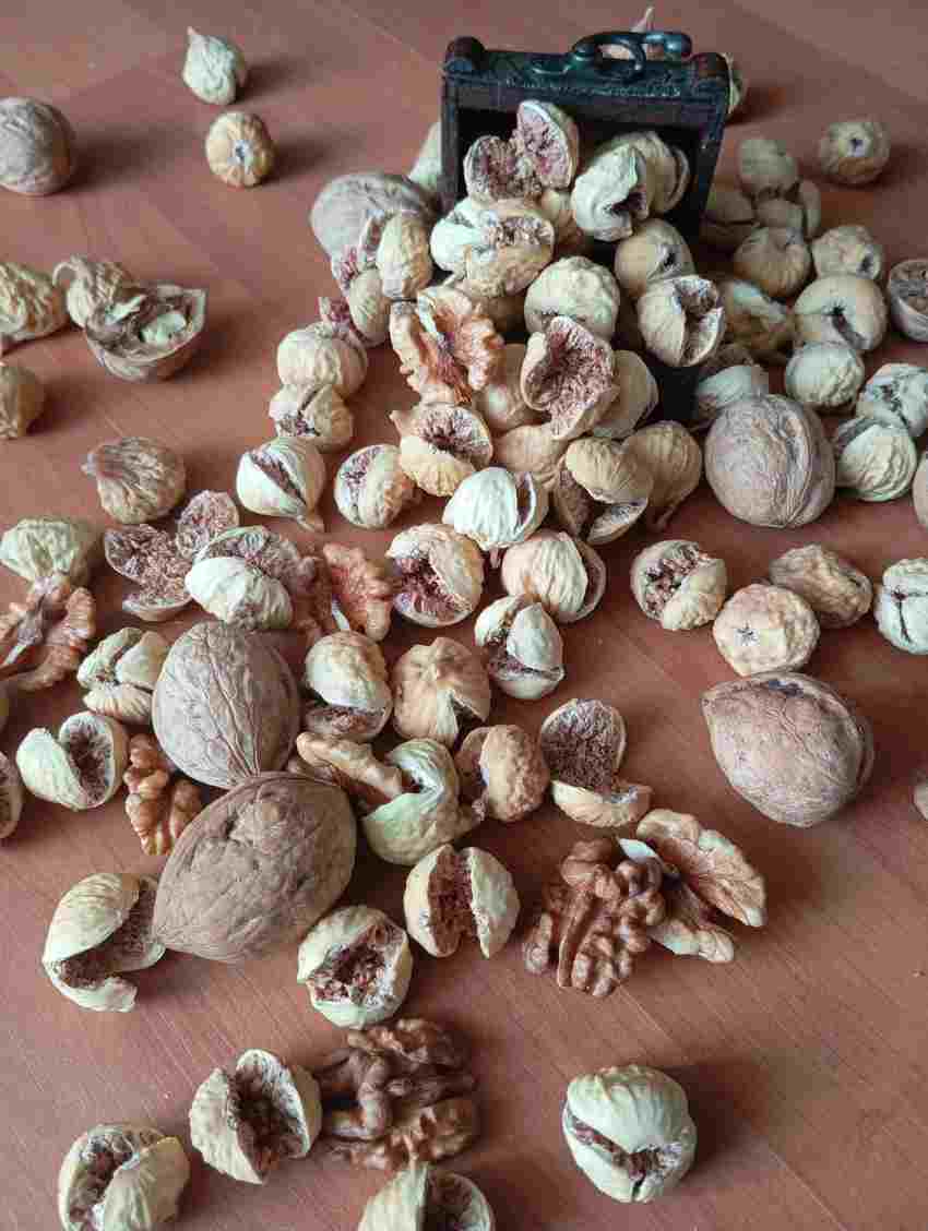 تصویر 4 از بهترین انجیر خشک استهبان + خرید عالی