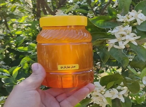 فروش و قیمت خرید عسل بهار نارنج شیراز