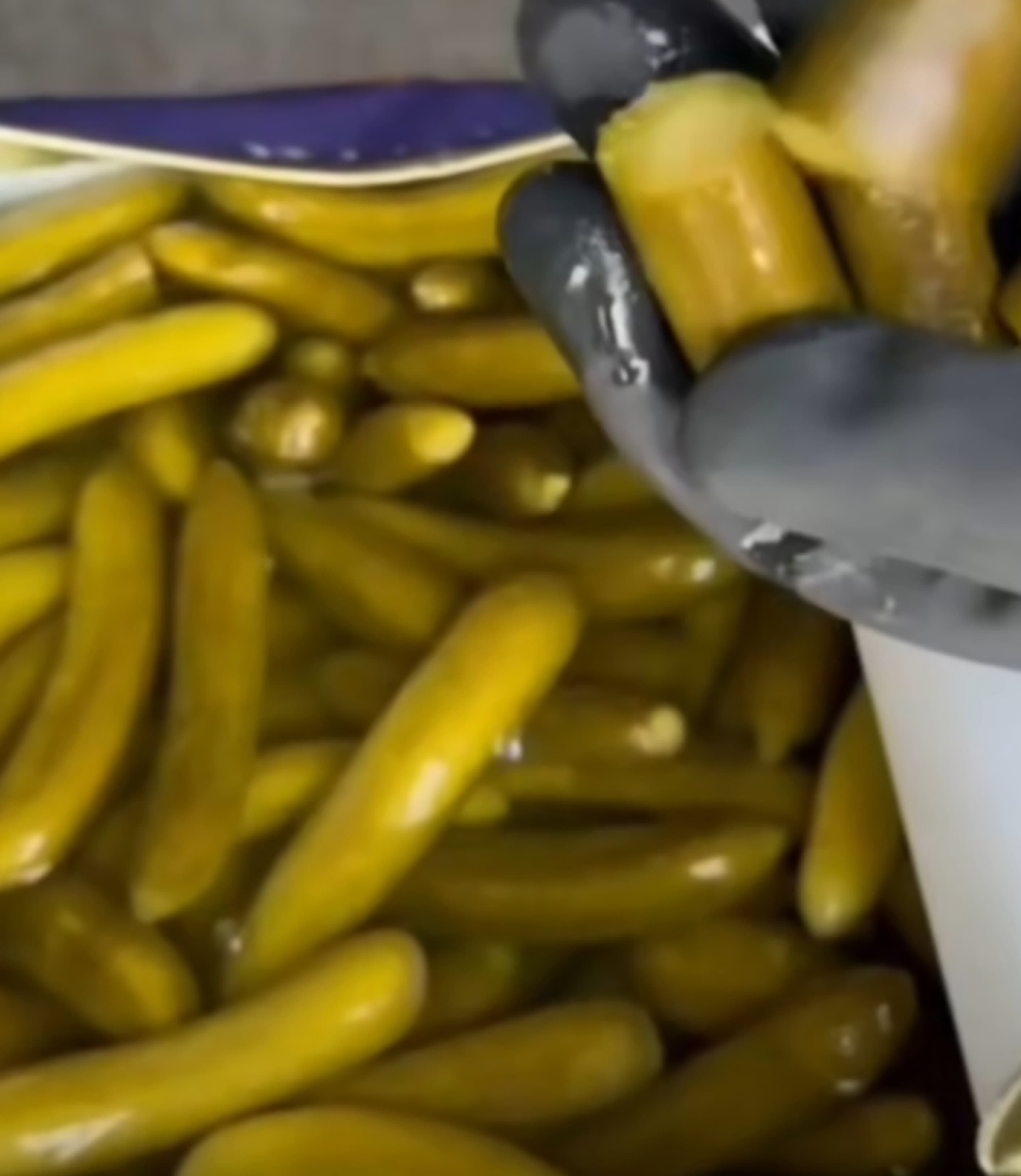 نرخ روز خیارشور عمده + خرید مطمئن