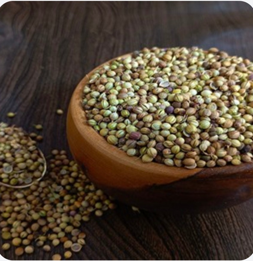 تصویر 1 از خرید بذر گشنیز آناهیتا مورد توجه صنایع غذایی سوداور