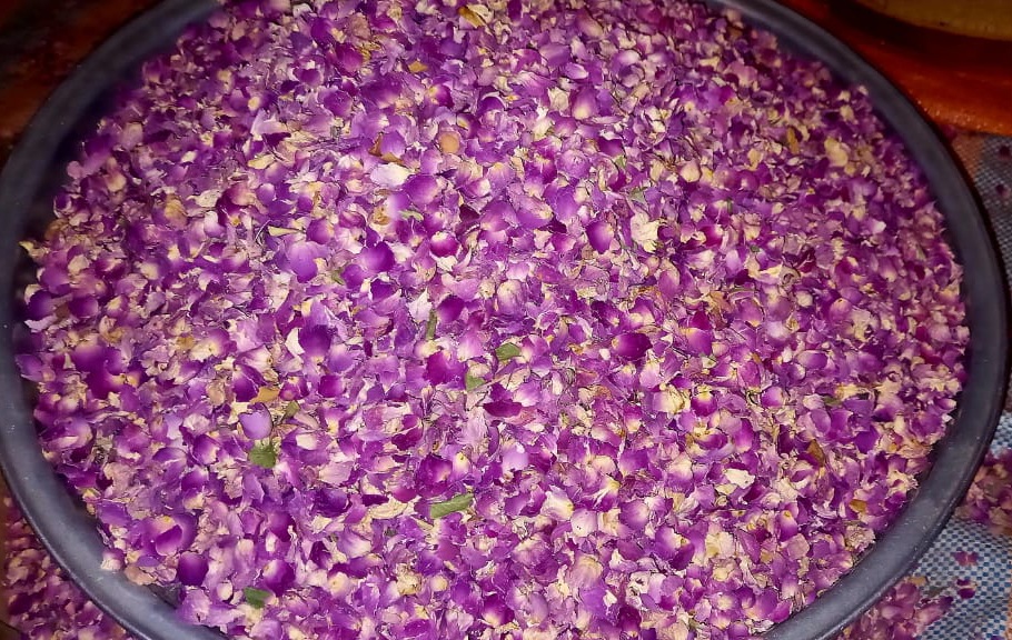 گل محمدی و خرید از تامین دست اول