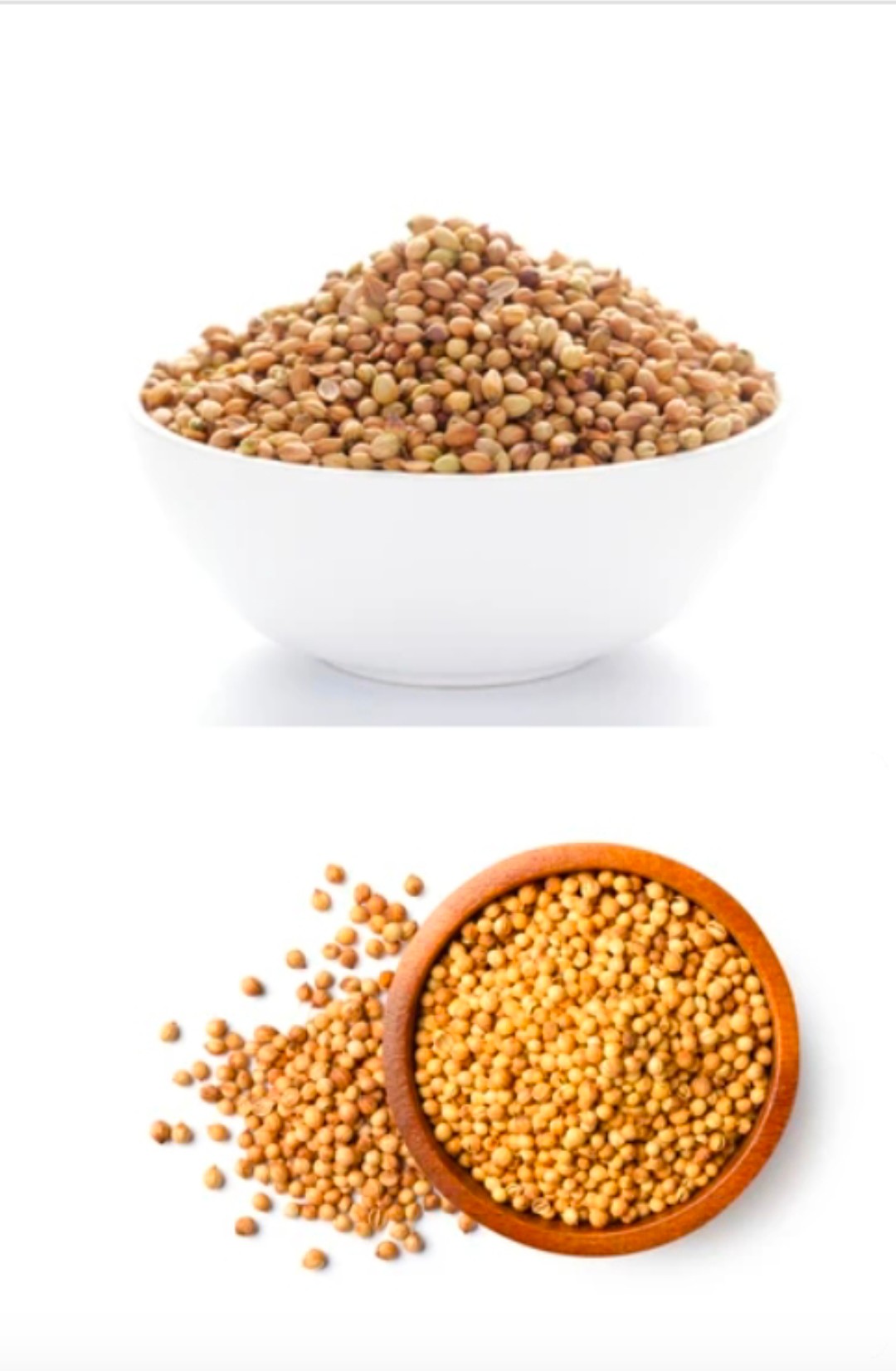 تصویر 1 از خرید دانه گشنیز + افزودنی محبوب ترشی