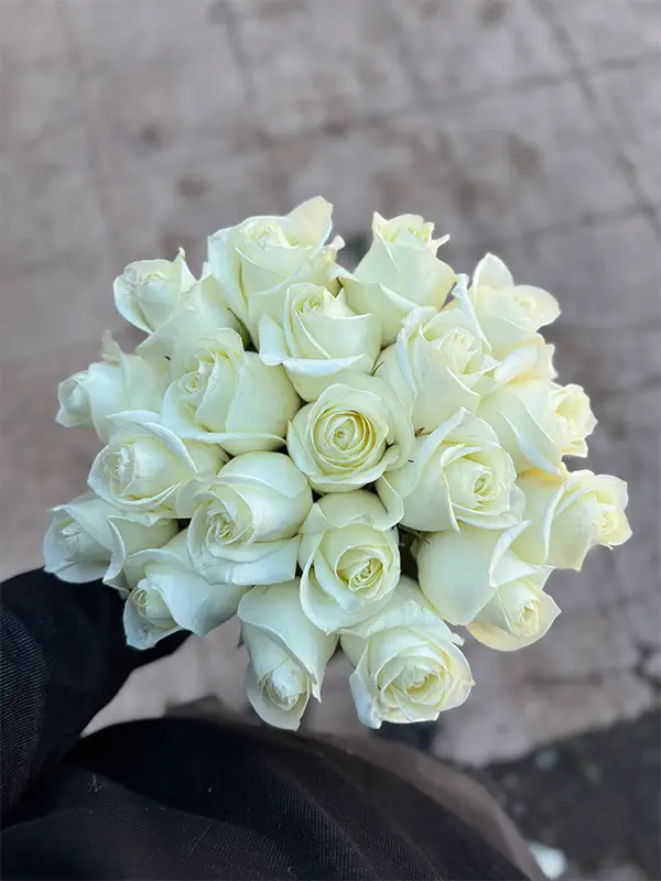 تصویر 2 از خرید لوکس گل شاخه‌ بریده سفید اصفهان