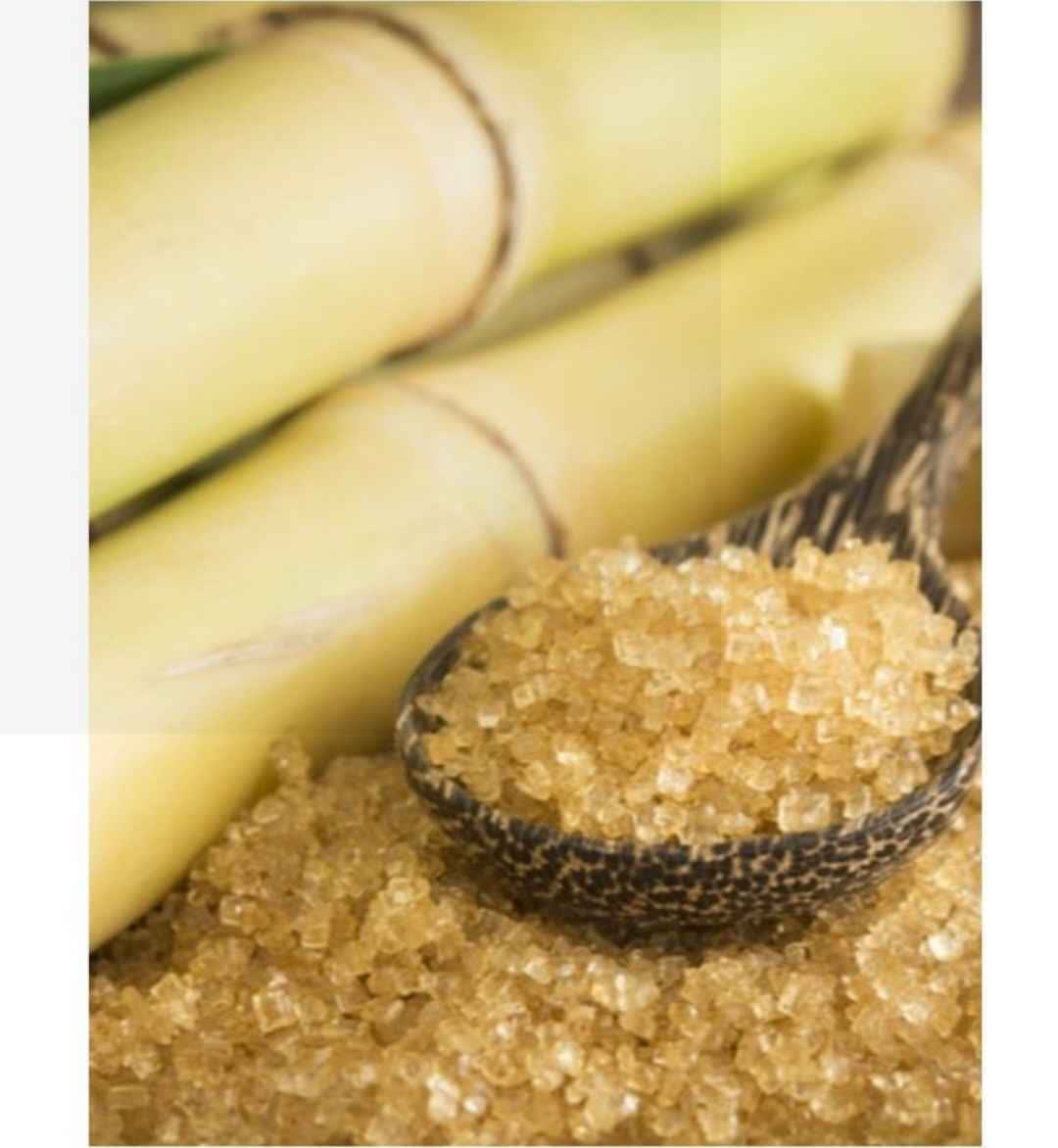 تصویر 3 از فروش شکر قهوه ای ارگانیک + قیمت از تولید به مصرف