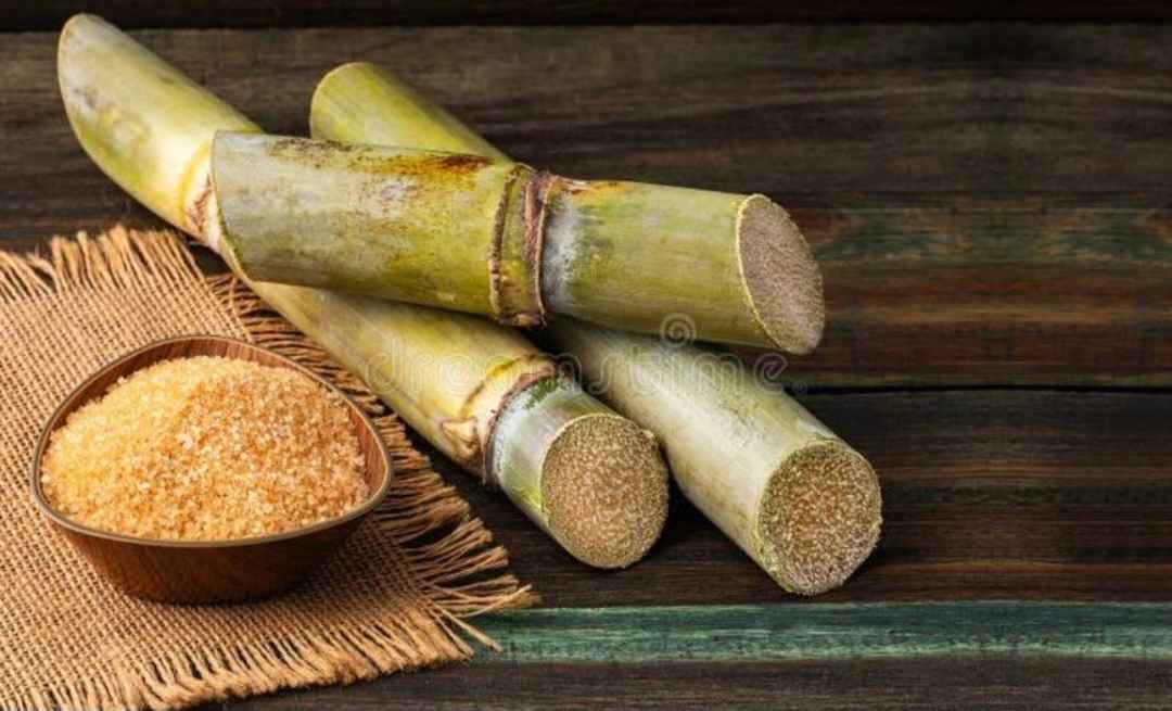 تصویر 2 از فروش شکر قهوه ای ارگانیک + قیمت از تولید به مصرف