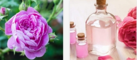 تصویر 2 از خرید و فروش گلاب دو آتیشه معطر و بی نظیر صادرات به عمان