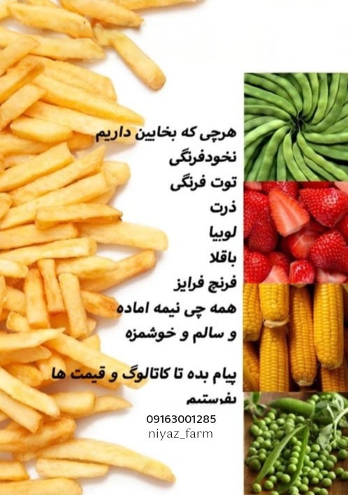 تصویر 5 از ذرت منجمد صادراتی