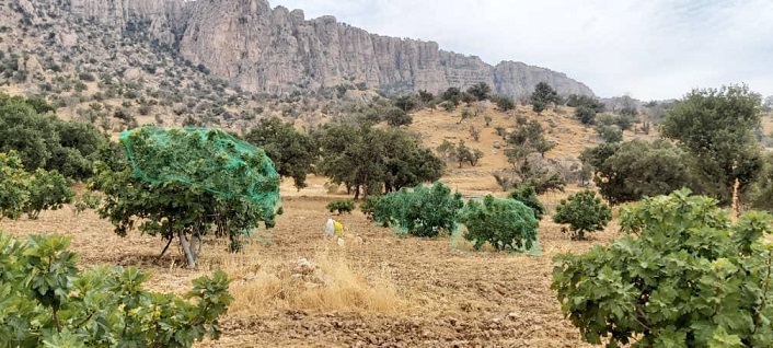 تصویر 3 از ارسال توری ضد پرنده به استهبان