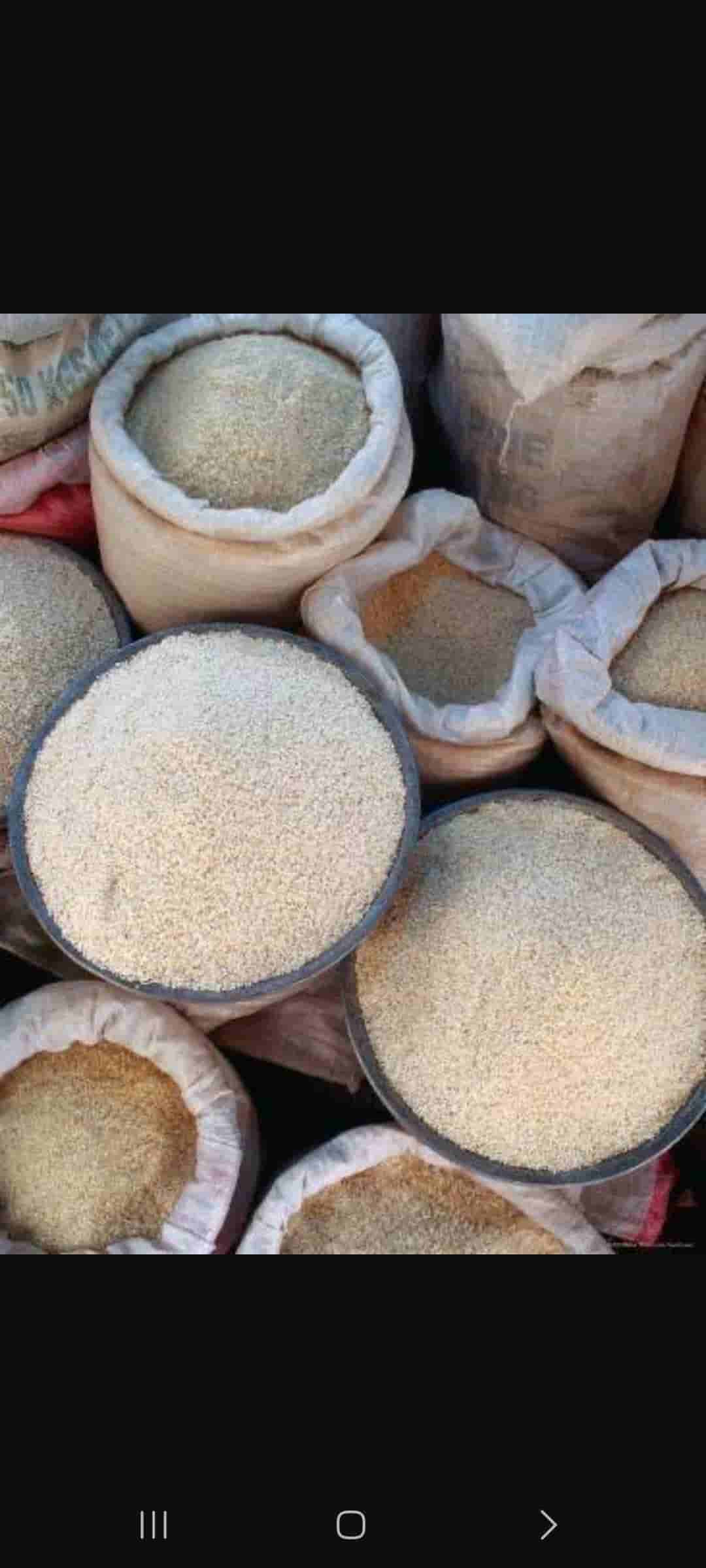 تصویر 3 از خرید برنج هندی ۱۱۲۱ شکوه