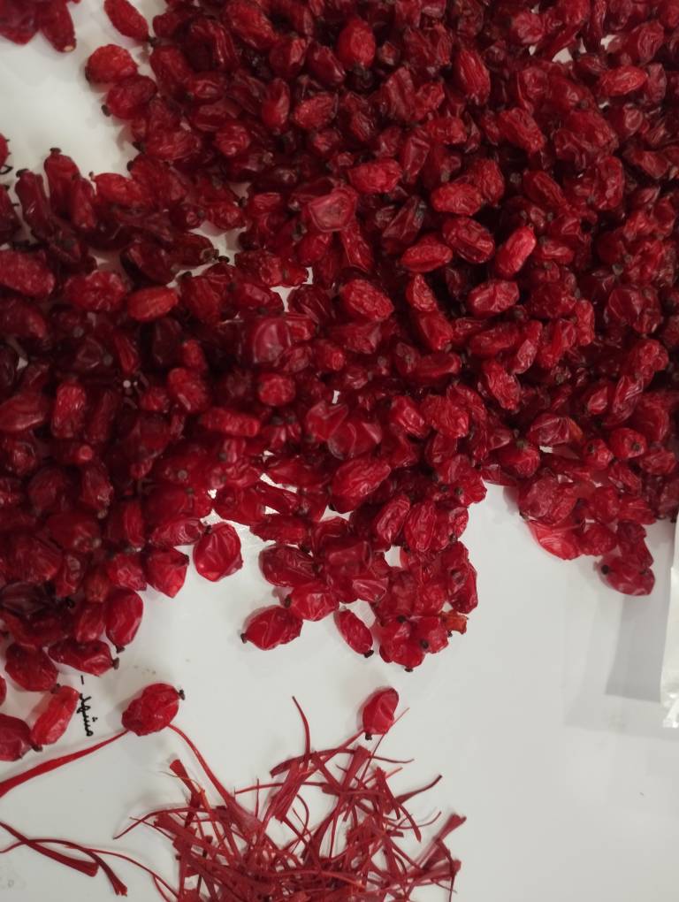 تصویر 1 از خرید و قیمت زرشک دانه اناری + فروش عمده